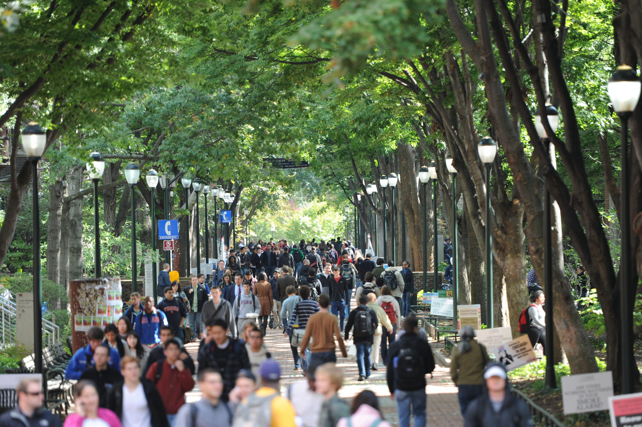 A busy pedestrian walkway surrounded by trees, with many people walking in both directions. Street lamps line the path, and signs and benches are visible.